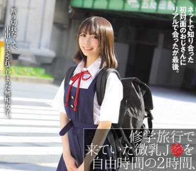 NPJS-152 修学旅行で来ていた微乳J●を自由時間の2時間、ハメまくった（笑） ネットで知り合った初対面のおじさんにリアルで会ったが最後。。ゆな